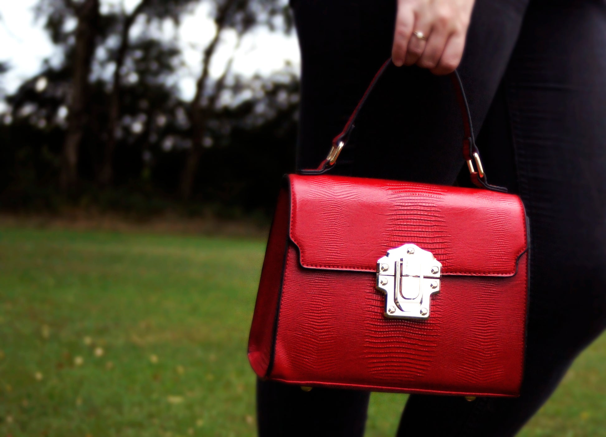 Swanky Swans Charlotte Handbag RedPerfect for School, Weddings, Day out!