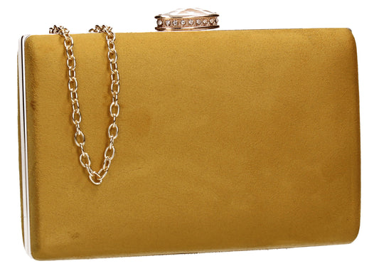 Louie” Clear Bag & Clutch – Swanky Indian Boutique